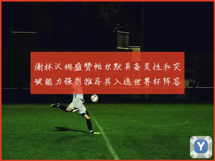 谢林汉姆盛赞帕尔默具备灵性和突破能力强烈推荐其入选世界杯阵容