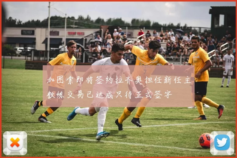 加图索即将签约拉齐奥担任新任主教练交易已达成只待正式签字